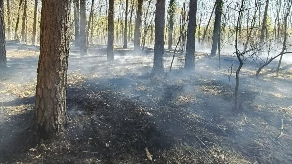 Borgo Ticino, incendio nell'area pic-nic al Bosco Solivo